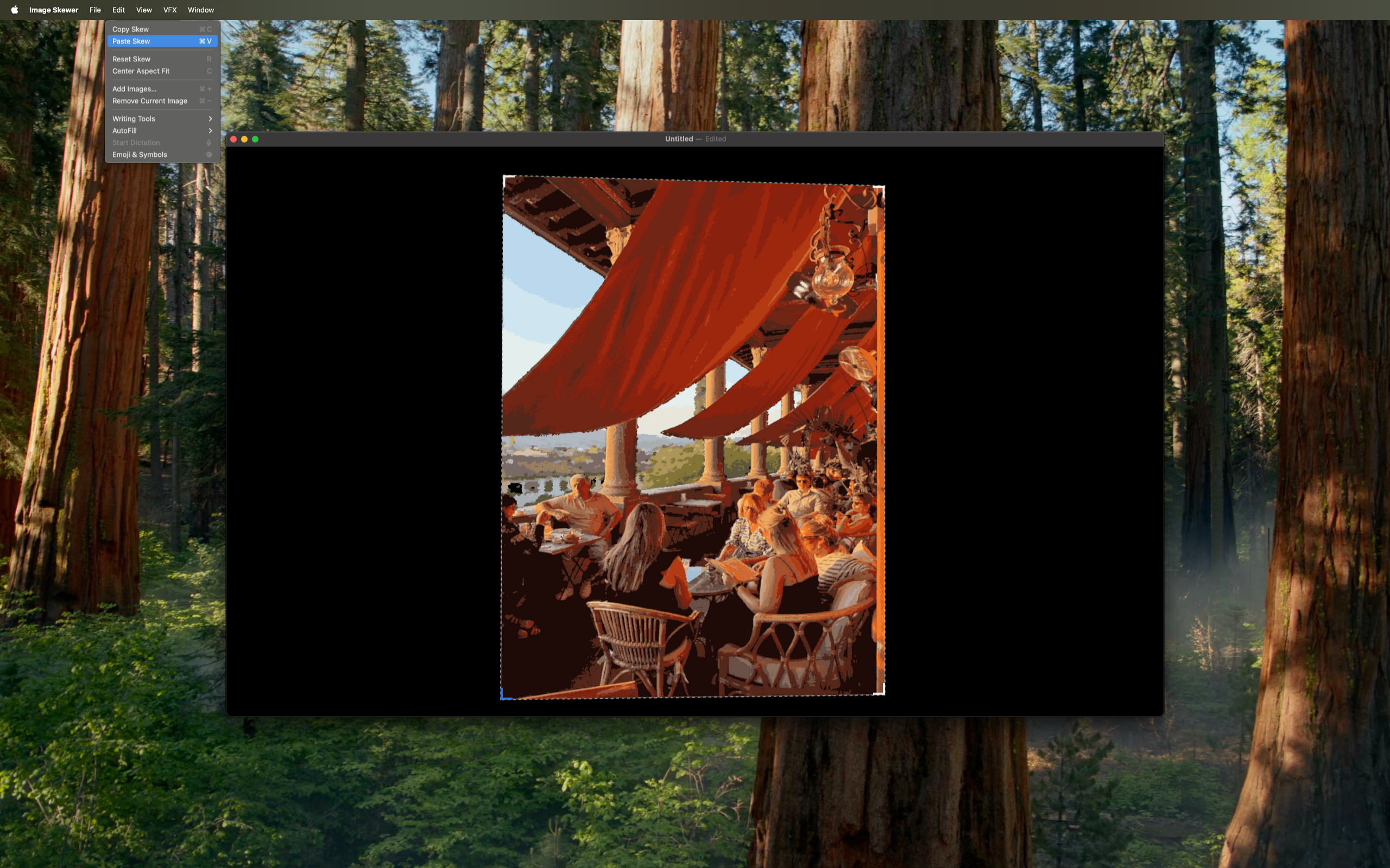 Image Skewer interface showing precise projector alignment tools