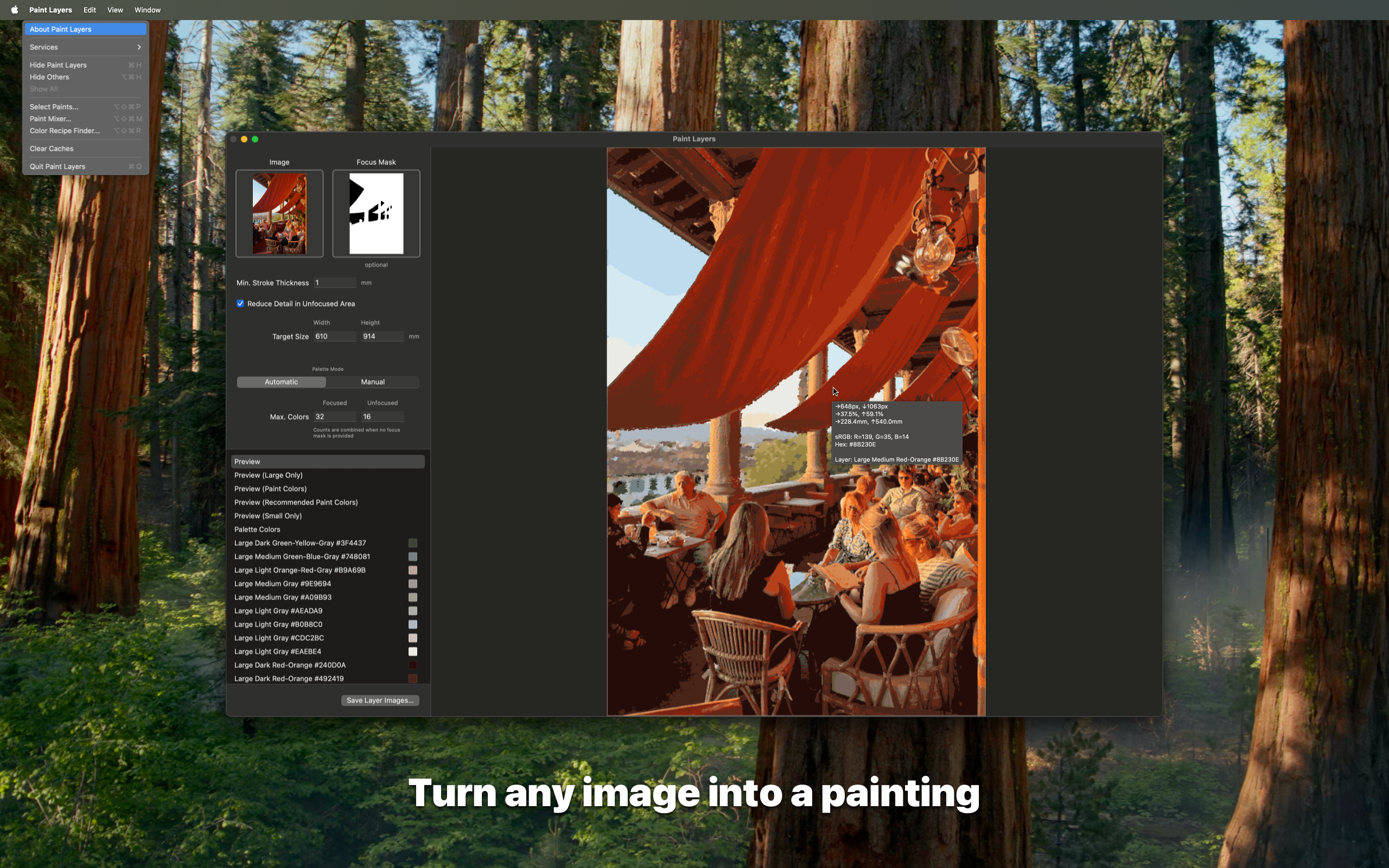 Paint Layers interface showing color separation tools